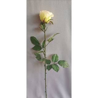 Florina Umela ruža biela, 69 cm, značky Florina