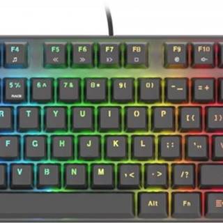 Herná klávesnica Genesis Thor 300 TKL RGB