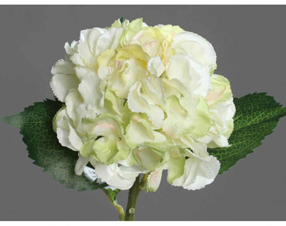 ASKO - NÁBYTOK umelá kvetina Hortenzia, krémová, značky ASKO - NÁBYTOK