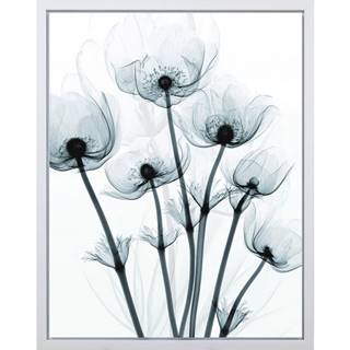 Monee  UMELECKÁ TLAČ, kvety, 40/50 cm, značky Monee