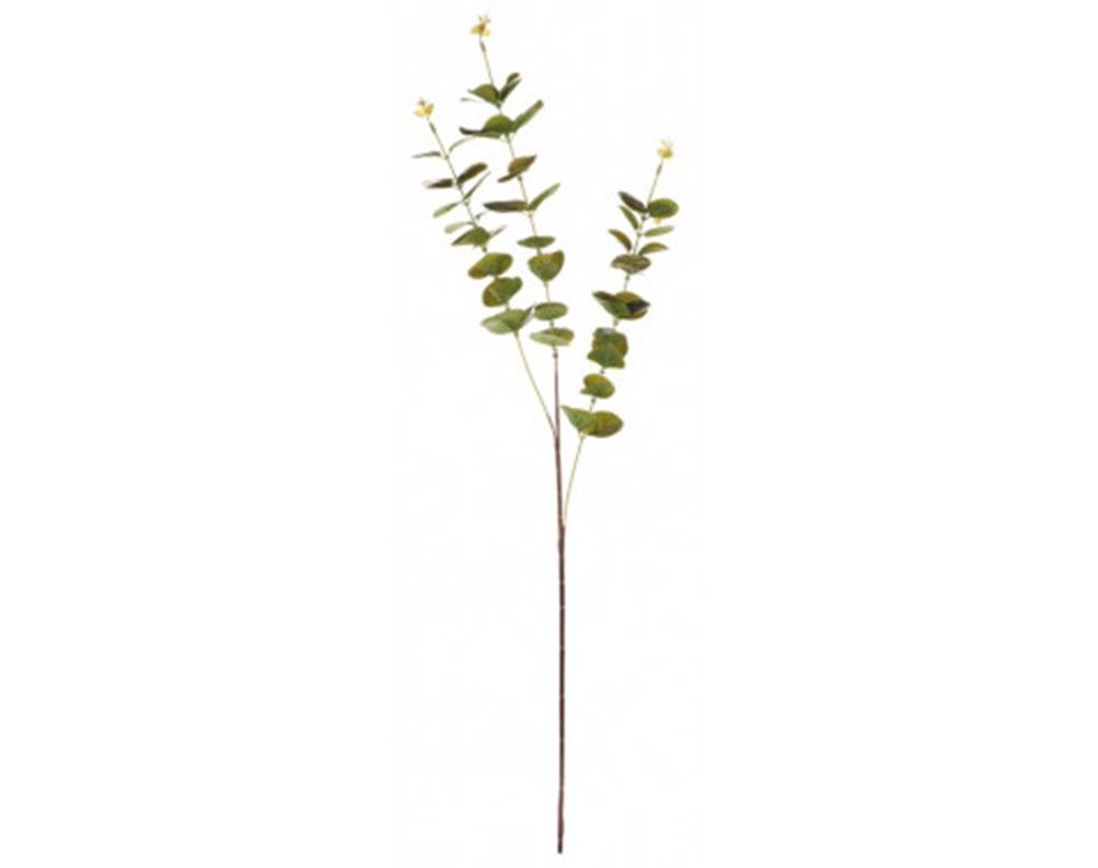 ASKO - NÁBYTOK Umelá kvetina Eukalyptus vetva, zelená, značky ASKO - NÁBYTOK