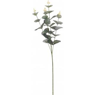 Umelá kvetina Eukalyptus vetva, 65 cm