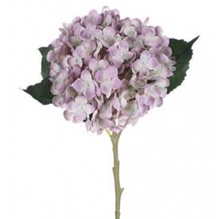 ASKO - NÁBYTOK Umelá kvetina Hortenzia 50 cm, fialová, značky ASKO - NÁBYTOK