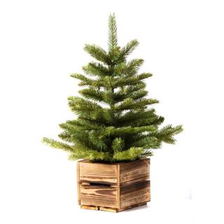 Dakls Umelý vianočný stromček v drevenom kvetináči , výška 65 cm, značky Dakls