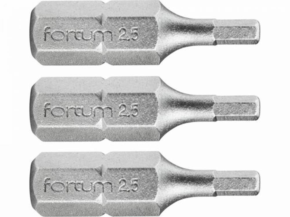 FORTUM Bity IMBUS H2.5x25mm, 3ks, S2, značky FORTUM