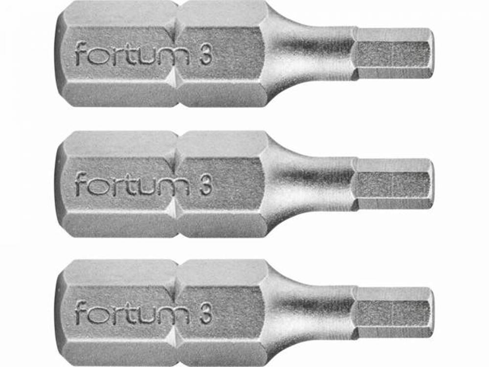 FORTUM Bity IMBUS H3.0x25mm, 3ks, S2, značky FORTUM