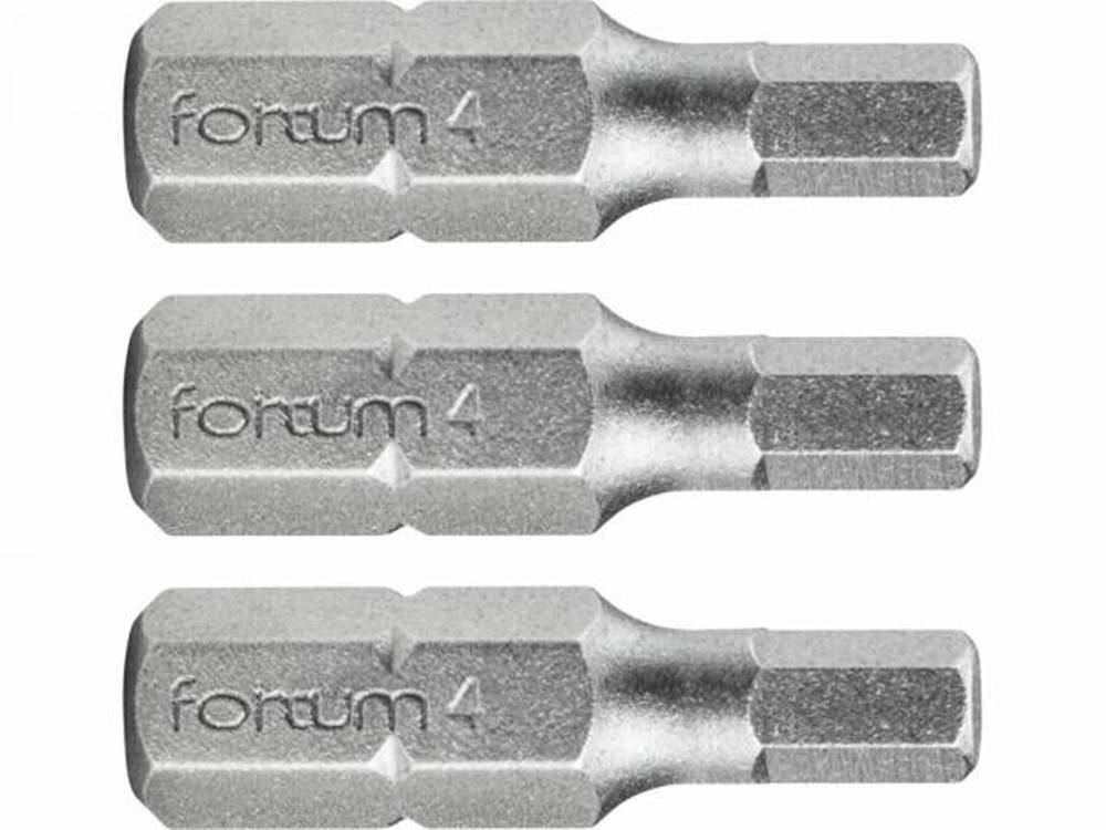 FORTUM Bity IMBUS H4.0x25mm, 3ks, S2, značky FORTUM