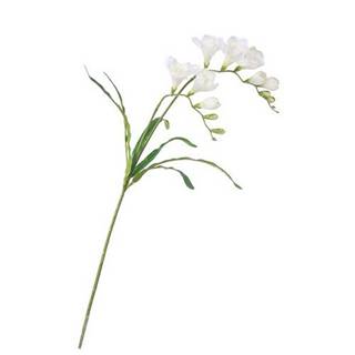 Wenko Umelá kvetina Frézia biela, 57 cm, značky Wenko
