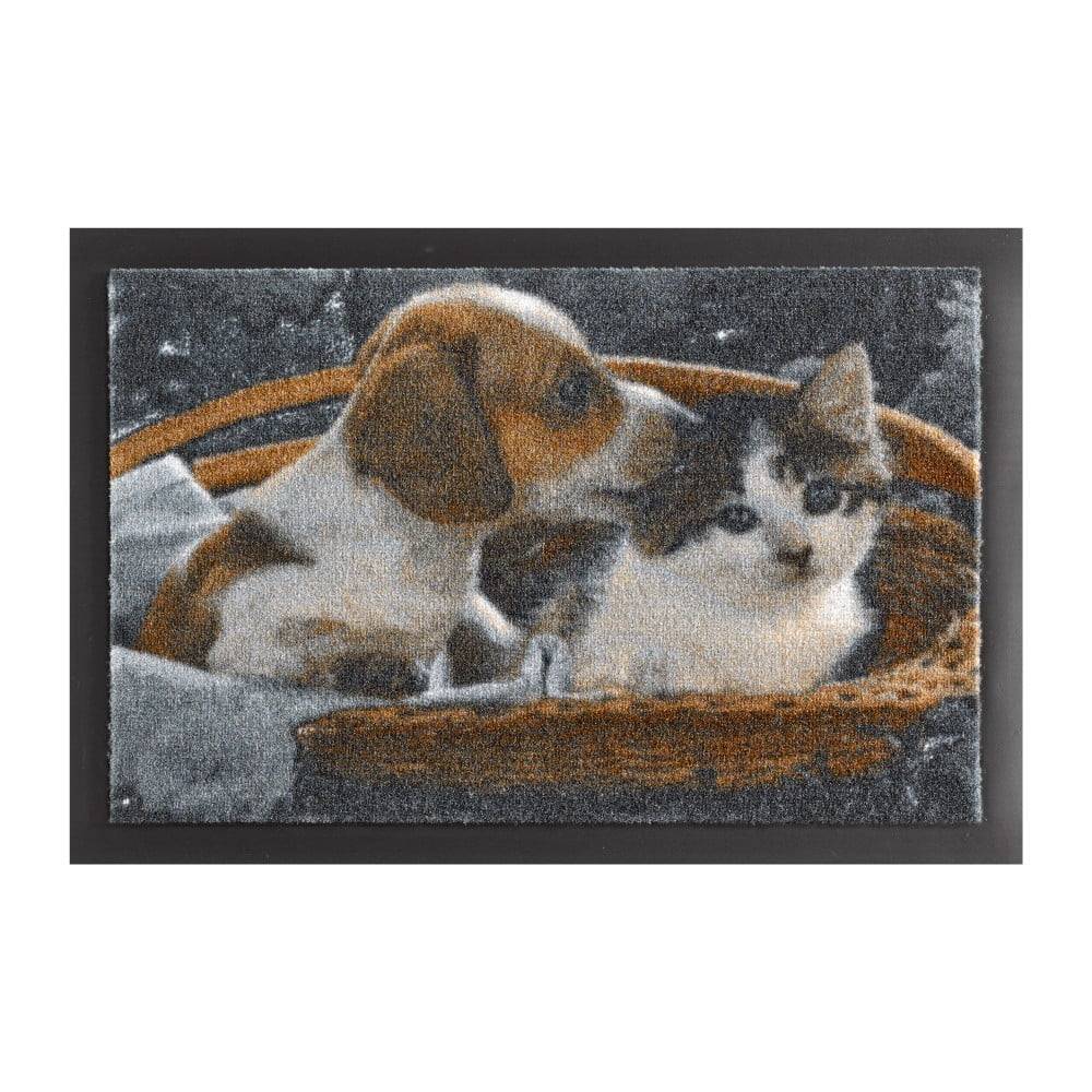 Hanse Home Rohožka  Animals Dog and Cat, 40 x 60 cm, značky Hanse Home