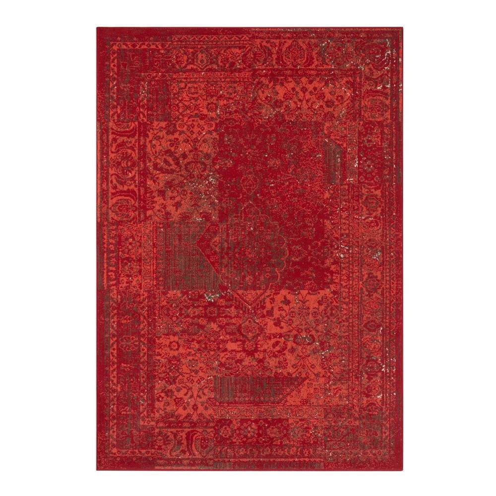 Hanse Home Červený koberec  Celebration Plume, 120 x 170 cm, značky Hanse Home