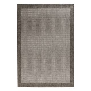 Sivý koberec 230x160 cm Simple - Hanse Home