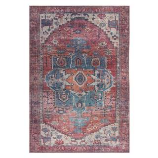 Asiatic Carpets Červený koberec 290x200 cm Kaya - , značky Asiatic Carpets