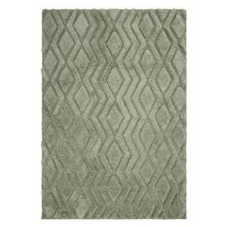 Asiatic Carpets Zelený koberec 170x120 cm Harrison - , značky Asiatic Carpets