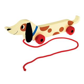 Rex London Drevený ťahací jazvečík  Charlie The Sausage Dog, dĺžka 31,5 cm, značky Rex London