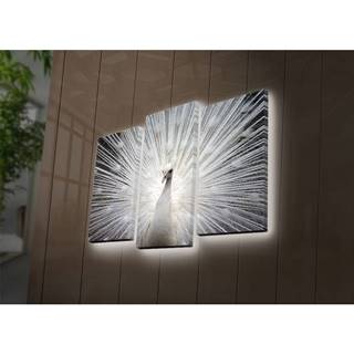 Ledda Osvetlený 3-dielny obraz Wallity Peafowl, značky Ledda